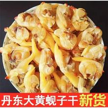 S͘Ӹɸɵ|خaS͘ӸɟoɳȥKȥSʳ]