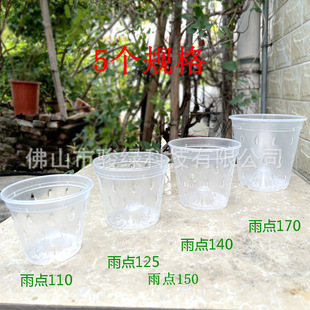 Phalaenopsis Special Flower Pot Transparent Plastic Hard Planting Cup Oncidium Dendrobium Root Control Pot Hanging Flower Pot Cross-Border