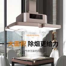 大吸力外排式吸烟灯家用除烟排风抽烟机馆房桌直排麻将灯升降吊灯