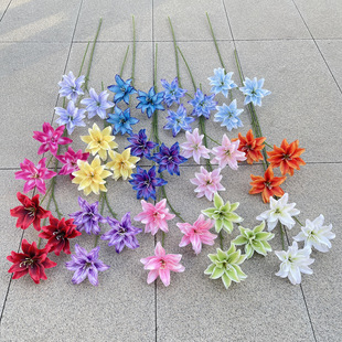 3�^Ī�ν���ٺϻ�   ���滨 ��c�Ӽ��b����m��  ���l