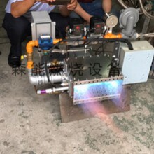 �ȴ���¯ ��ɻ�ȼ��ȼ����DCM-20���ͻ�������ר�ñ���ʽȼ�ջ�