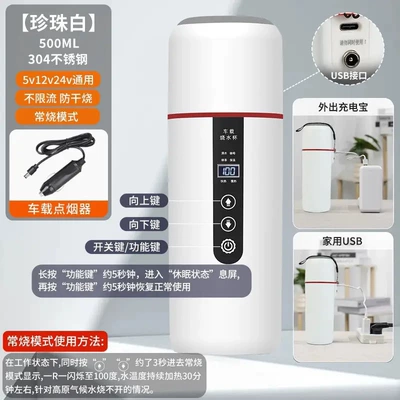 Dual-Purpose Electric Water Kettle — Digər kiçik elektrik cihazlar - chinese-version-upgraded-usb-version-haoyuebai-12v24v-car-use-500ml