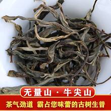 2021头春无量山牛尖山古树茶普洱茶生茶回甘生津茶气强500g装茶叶