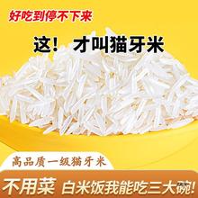 猫牙米长粒香大米2023年新米泰香米丝苗米煲仔饭5kg10kg