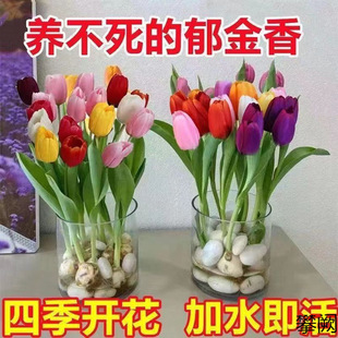 �F؛���l5�w������N���ļ��_�����B��ˮ�໨���̨�ذ����B����