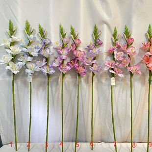 2026�¿�m���滨 �͏d�Ҿ��b�����������ٻ����m���愦�m��