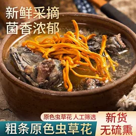 其他干货;牛肝菌;调味酱