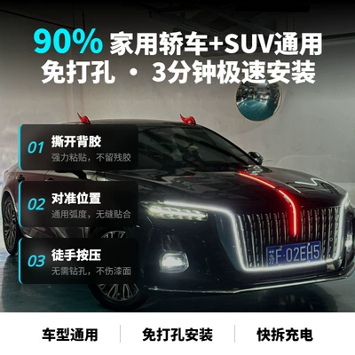 Light Speed-Type Flow-Venting Fin, Dragon | Other Car Modifications