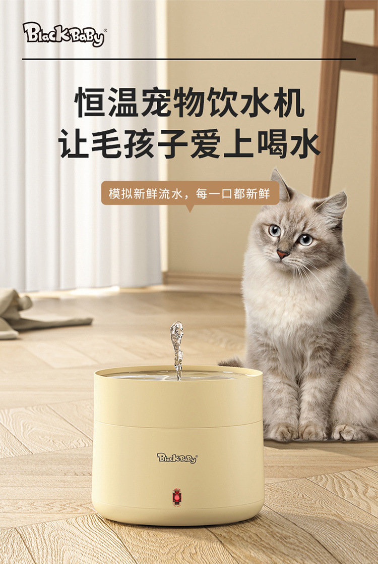 18f00ca2-0e67-4c2f-8b65-df1317f9ecf7.jpe