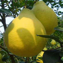 �޽�������t�����t���֘����Ϸ��Nֲ���Ե��Ԯ���Y��ͥԺ������