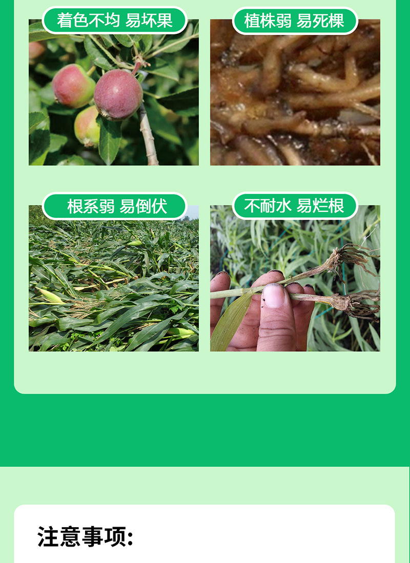 微生物菌剂_07.jpg