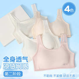 发育期内衣少女背心青春期女孩升级网孔透气文胸初中生高中生美背