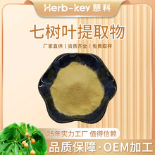 七叶树皂甙20%陕西慧科厂家供应现货销售量大价优七叶树提取物粉