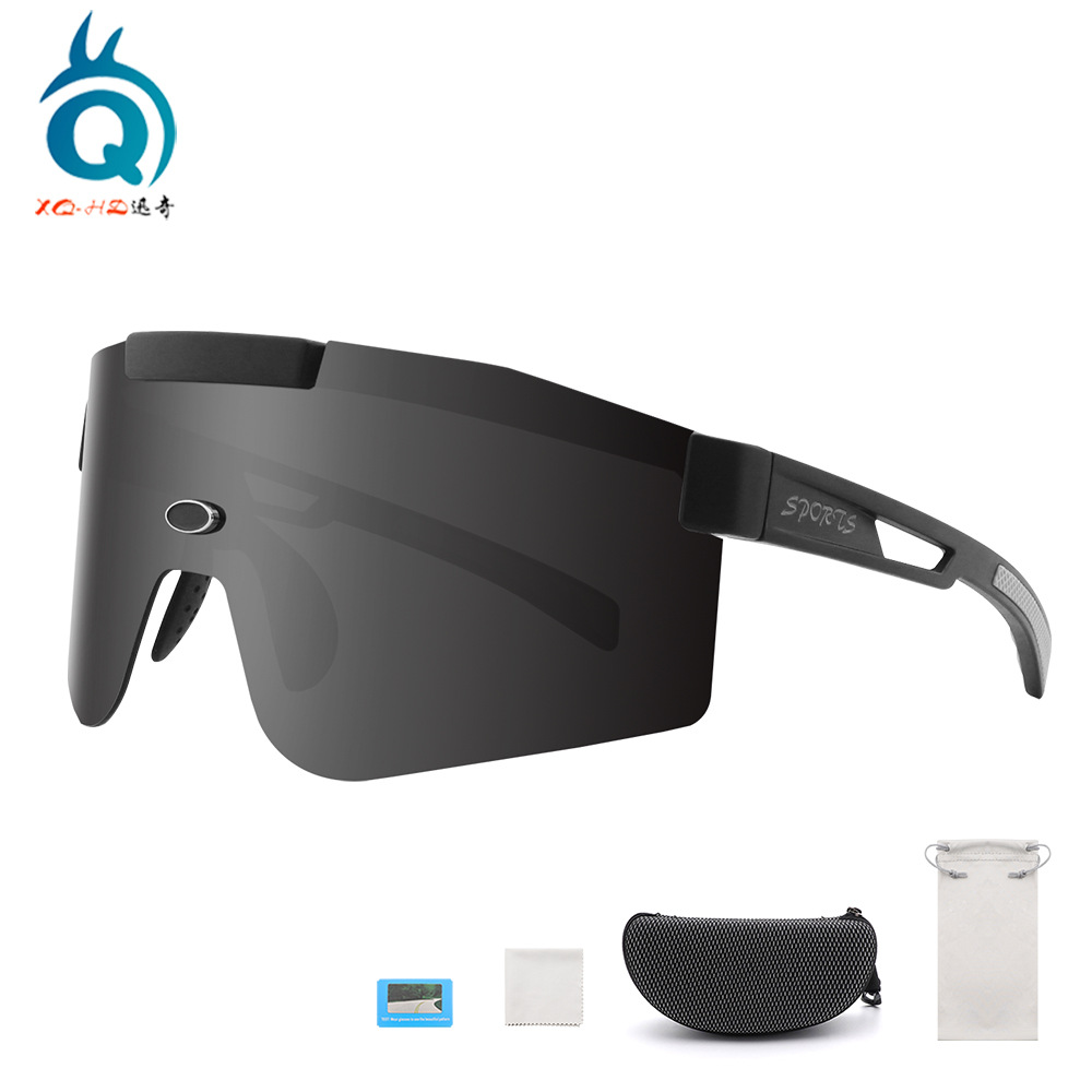 검은 모래/편광 회색