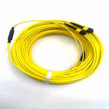 KEXINT 34M MPO����16��SM b�ͷ־���G65A2 LSZH 4.5����b��ULL 2