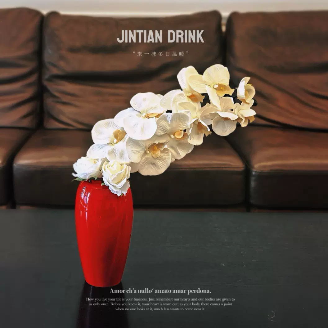 花瓶插花高级感塑料花瓶雪柳专用花瓶新年花瓶冬青花瓶红色花瓶