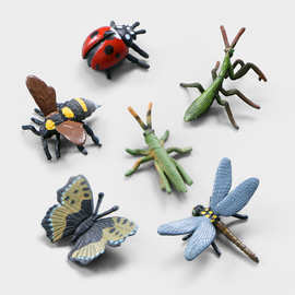 仿真昆虫套装模型蜘蛛蝴蝶蜜蜂蝎子独角仙科教认知整蛊玩具摆件