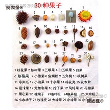 ɻb޻ɹ֦~ɏ׃@ֹh̫