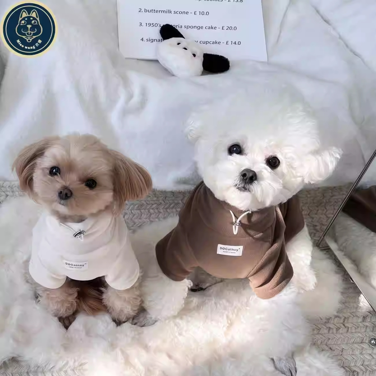 봉지 고양이 완전 부드럽고 찰!발열 벨벳 보온 맨투맨 비숑 테디 강아지 가을 겨울 보온 옷