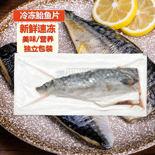 青花魚片商用大鮐魚鮐魚片馬鮫魚青花魚片鮮活冷凍鯖魚燒烤食材