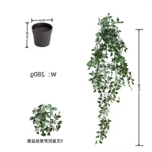 �羳 �Ғ�ֲ�������_ �ȼ�������~�҃Ƞ����b������Է��滨