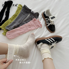 2025¿ٽzyWU͸LͲѶСml