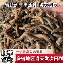 �r���������w�������S�X�����ش��������Ұុ��D�~�D