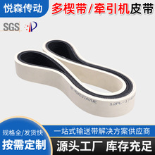 挤出牵引机皮带一体硫化成型多楔带防滑抗拉同步带耐磨传动多沟带