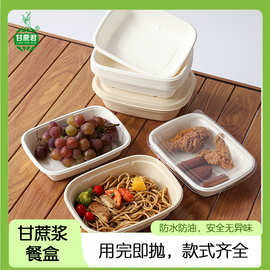 一次性可降解甘蔗纸浆轻食水果沙拉外卖长方形便当野餐打包餐盒