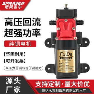 福达定制电动喷雾器隔膜泵高压回流水泵直销价喷雾洗车器水泵配件
