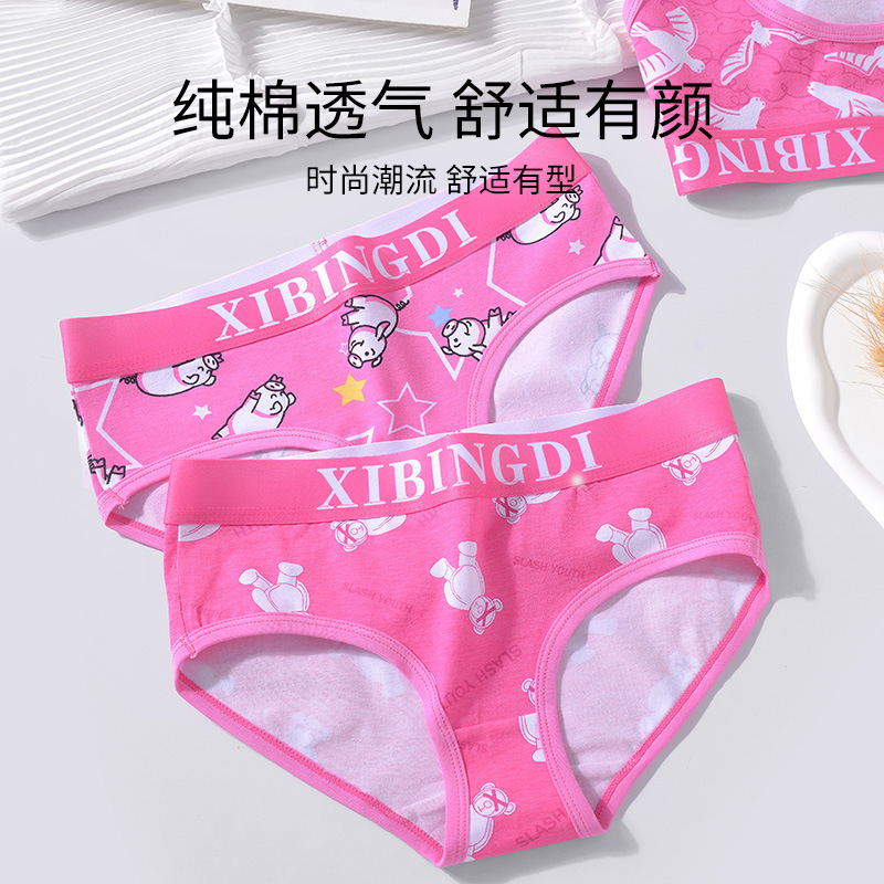 Women's Low-Waist Fashion Underwear, Personalized Printed Cotton Briefs, Cute Cartoon Girl Pink Shorts
