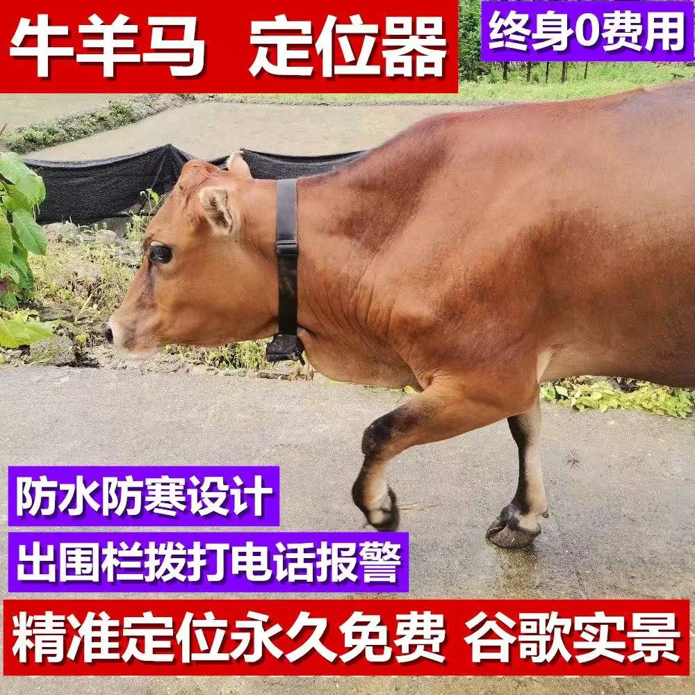 Cow and Sheep Locator 4G Full Network Strong Magnetic 10000mAh Long Standby Beidou GPS Dual-Star Wireless Global Tracker
