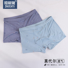 ӡ��Ī������50֧��ʿ�ڿ�3D�Ľ��ڿ�͸������ƽ���־��̿�����