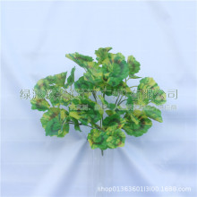 ����ֲ����滨��ˇ�Ҿ��b�Ʒ ֲ����߲��ָ�ֲ�� �G�}�����~