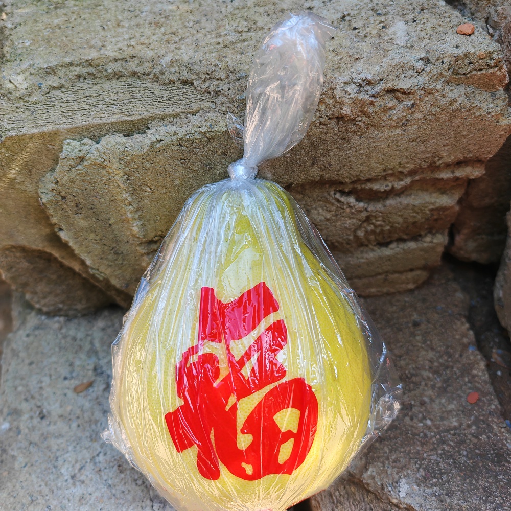 [No contiene pomelo] Embalaje tres carne roja pomelo Majia pomelo fresco azúcar cristalino Shatian pomelo Meizhou Golden Pomelo bolsa de regalo
