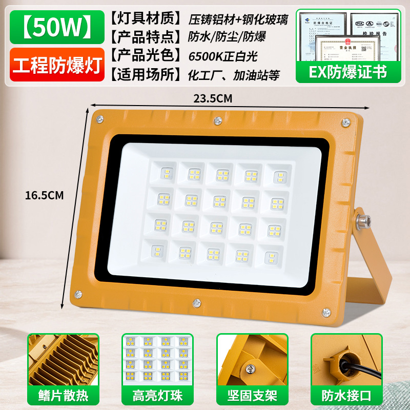 Storm EX 투광등 50w 두께의 알루미늄 쉘