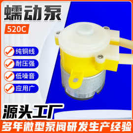 精准流量水泵 微型计量水泵稠液体微型泵大流量静音蠕动水泵定制