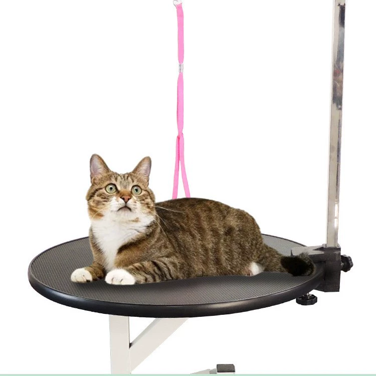 Тедди кошки и собаки для зоомагазина