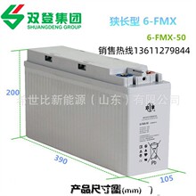 ˫������6-FMX-50�ֻ�12V50AH������ͨѶͨ�Ż�վ����̫���ܴ�
