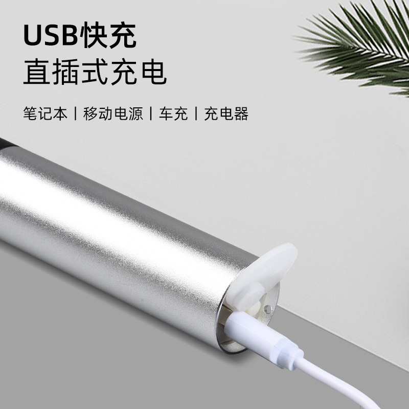 Amazon luz roja Luz de fisioterapia luz roja linterna Hotel Cámara detección antirrobo repelente de mosquitos apicultura luz especial