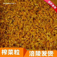 ����ե������ե�˶�9��5���w��ե�����������ե����һ����