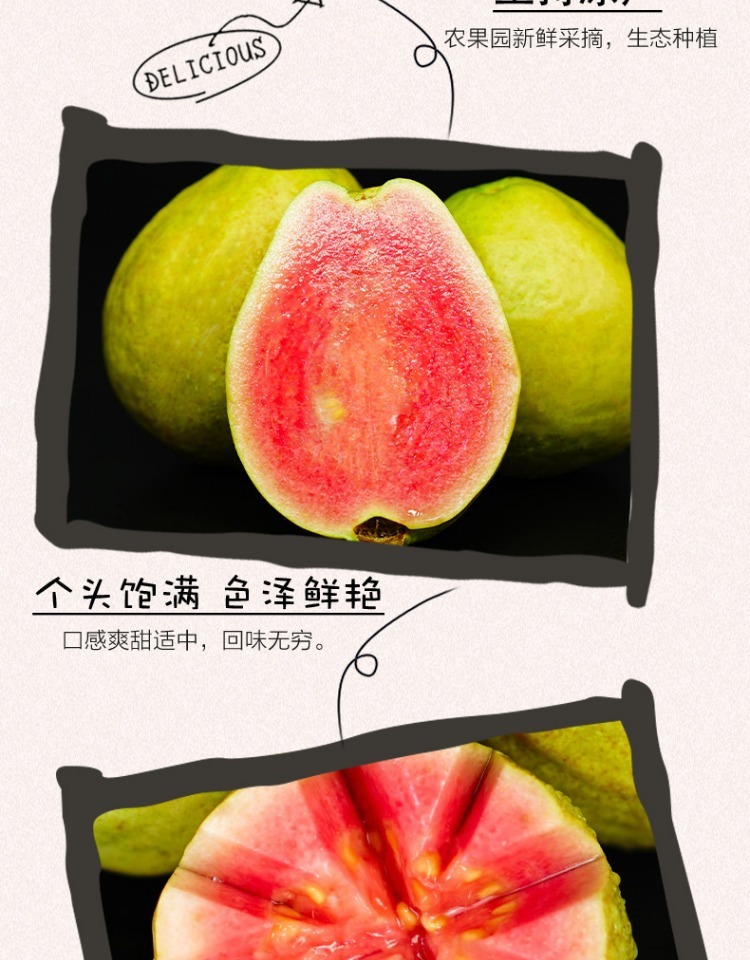 3aa8528b-92ca-4d7a-ab8d-0fec3cd398d7.jpe