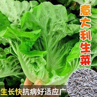 ��������˷N���ͳ�̦�N���̨�ļ����߲˿��������˷N��