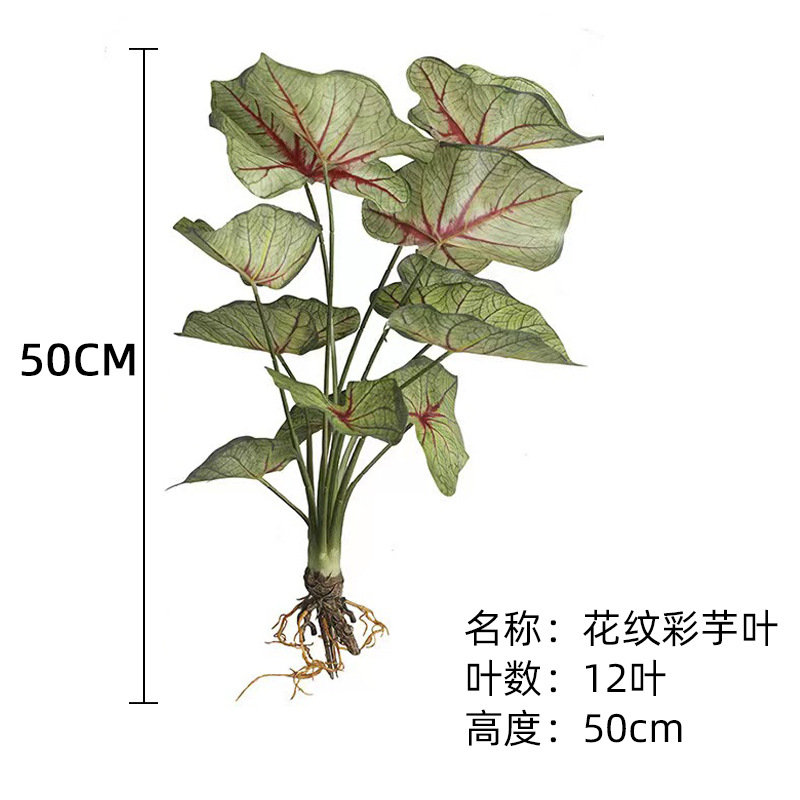 (Nuevo) patrón de hojas de taro de color 50cm