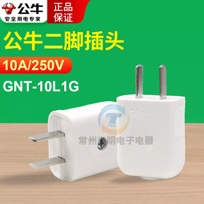 公牛10A插头电线二头两脚接线两孔两角项电源2脚极GNT-10L1 10L1G