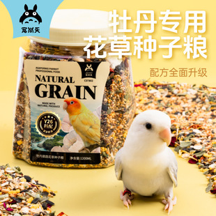 �������W�^ĵ�����L�I�B����ώ���������߃��ɼZ�N�ӼZ