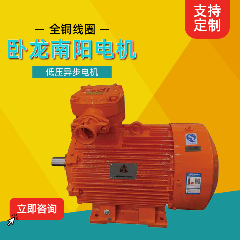 卧龙南阳电机低压煤矿井下用隔爆型三相异步电动机厂家直供