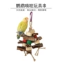 啃咬实木组合彩色鹦鹉鸟