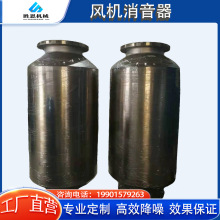 胜恩 罗茨风机鼓风机消音器 轴流式风机消声器 降噪30db 厂家直发