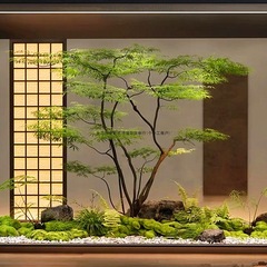 模擬緑の植物、チキンクレバー、偽カエデの風景、ショーウィンドウ、ショッピングモール、ティールームの窓、植物装飾セットの組み合わせ